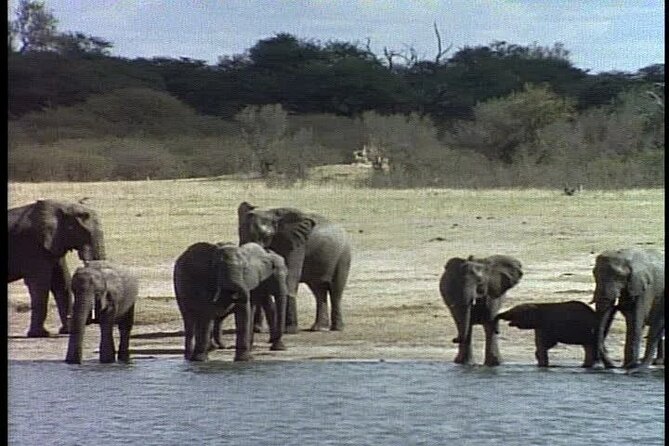 Classic Best of Kenya - Frequently Asked Questions