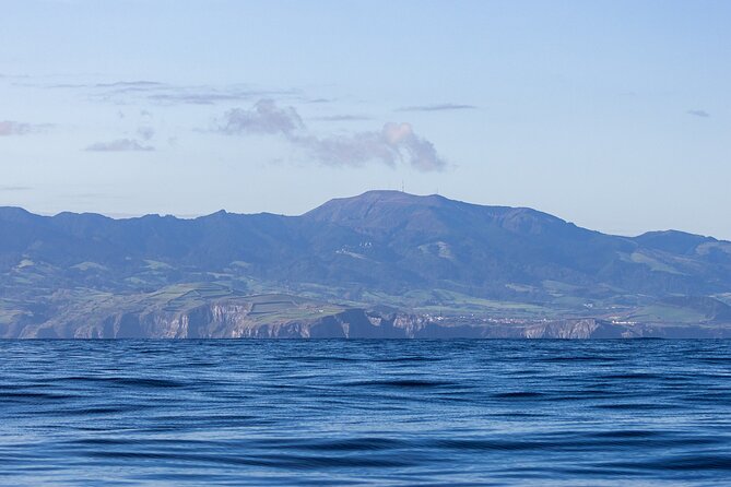 Coastal Boat Tour Ribeira Grande Review - Cancellation and Booking Policy