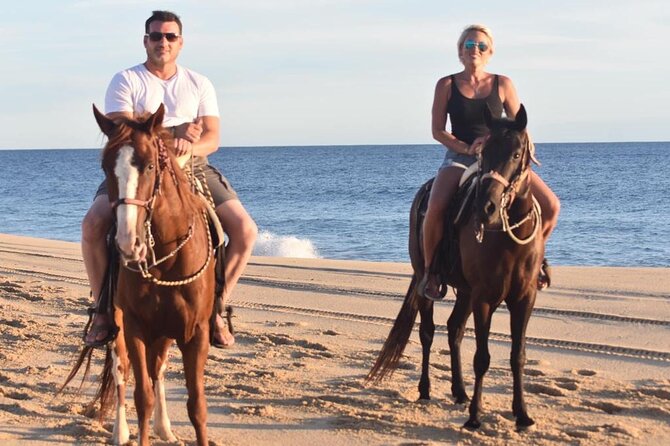 Combo Double Atv + Horses - Tour Experience