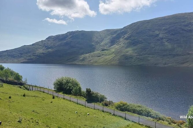 Connemara Sheep Farm Experience & Kylemore Abbey by Lux Limousine - Exploring Kylemore Abbey