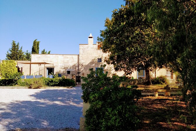 Cooking Class in Masseria - Cooking Class - Puglia - Lecce - Orecchiette Pasta Lesson