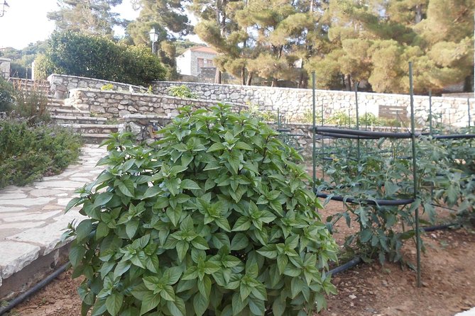 Cooking Class & Lunch in an Agrotourism Unit in Arcadia, Greece! - Outdoor Activities and Attire