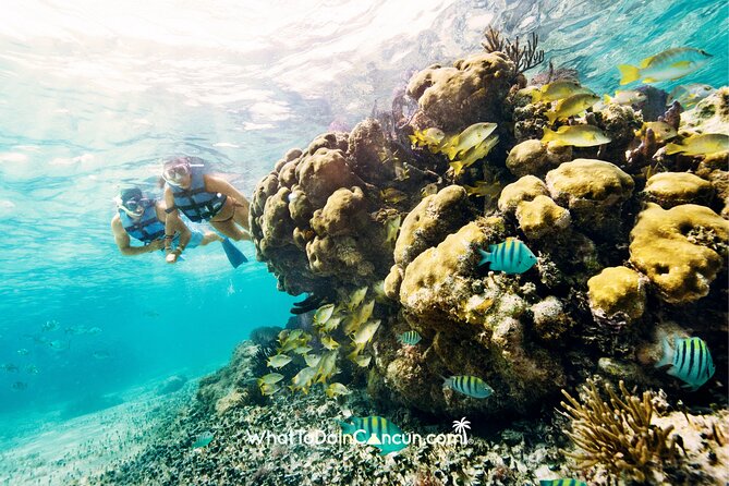 Coral Reef Snorkeling Expedition From Cancun With Beachside Lunch - Reef Exploration and Snorkeling