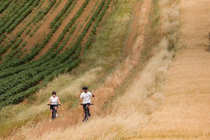 Cortona - Ebike Tour and Wine Tasting in the Val Di Chiana [40] - Pickup and Return