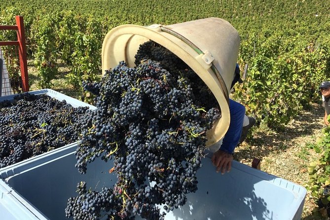 Cotes Du Rhone Wine Tour - Private Tour - Full Day From Lyon - Exploring Hermitage Wine Country