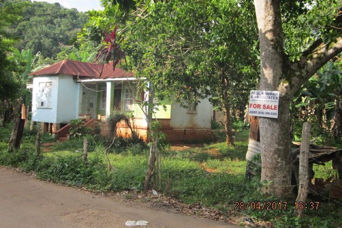 Country Side and Sight Seeing With Dunns River Falls - Marveling at Dunns River Falls