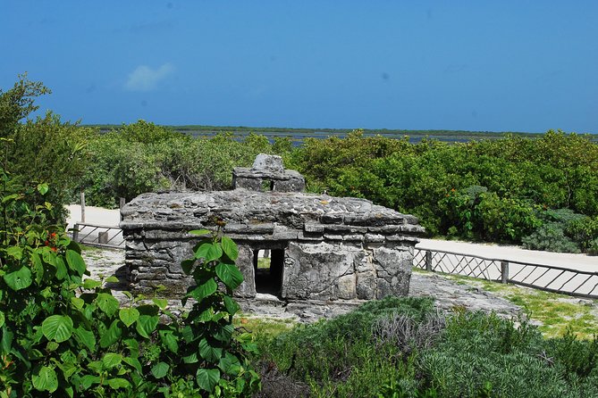 Cozumel Jeep and Snorkel Adventure With Lunch at Punta Sur Park - Snorkeling Adventure