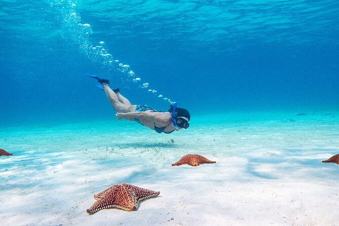 Cozumel Starfish and Tropical Reef Snorkeling by Powerboat With Lunch - Booking Information