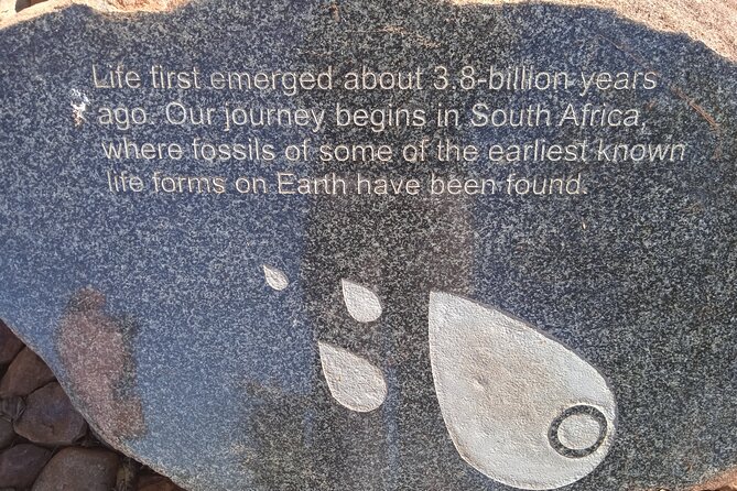 Cradle of Humankind Half Day Tour - Tour Itinerary