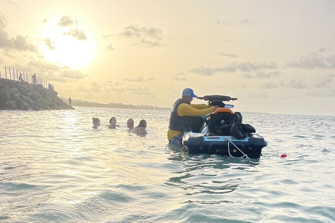 Crash Boat Beach With Snorkeling and Gozalandia Waterfalls - Inclusions and Requirements