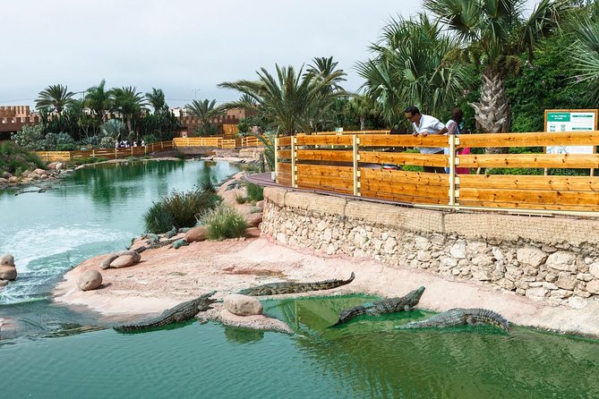 Crocopark Visit (Transport Included) - Getting to CrocoPark