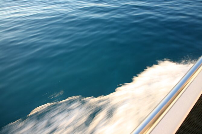 Cruise to Blue Lagoon From Latchi Port - Cruise Highlights
