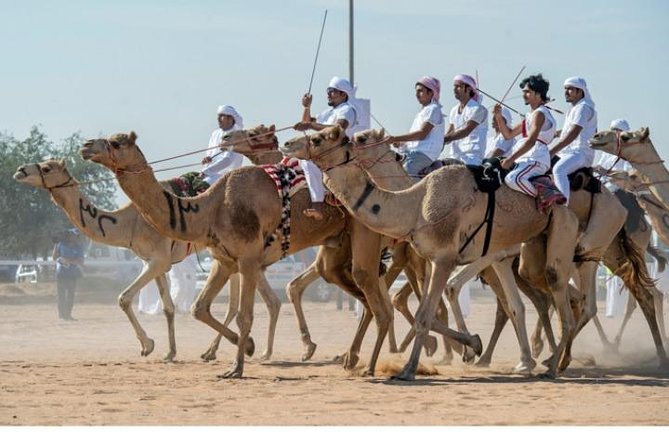 Cultural & Thrills: Sheikh Faisal Museum & Camel Race Adventure - Accessibility and Participation