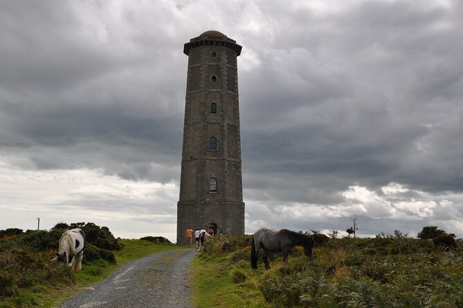 Day Tour From Dublin to Wicklow: Cliffs, Heritage, Wildlife, Gaol - Cultural Heritage and History