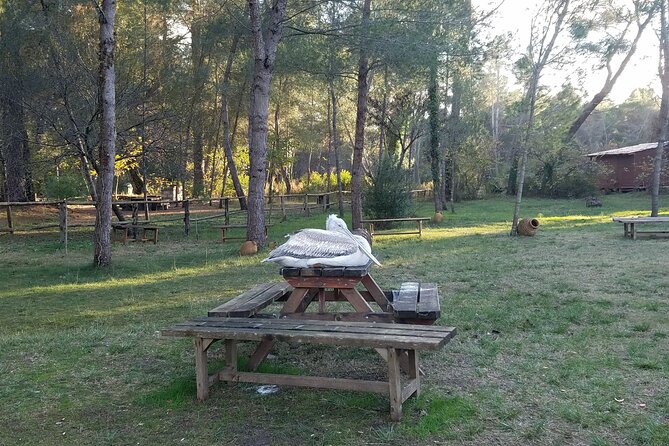 Day Tour of Berat and Karavasta Lagoon From Tirana&Durres - Tour Itinerary and Duration