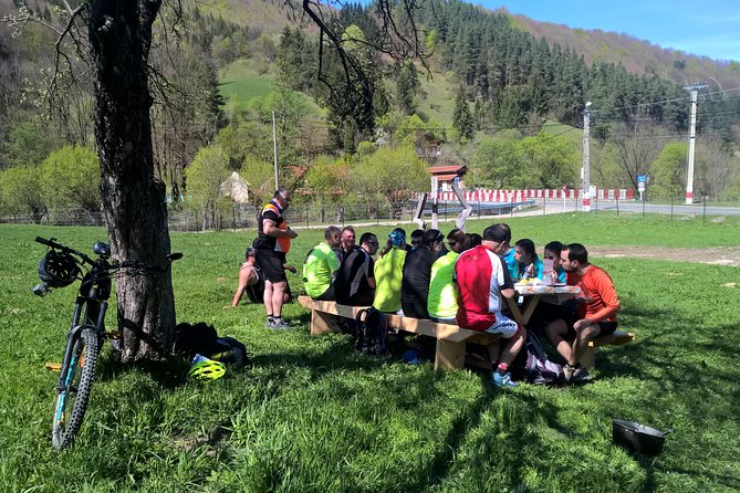 Day Trip From Brasov: Bison Reserve & Traditional Lunch - Scenic Journey