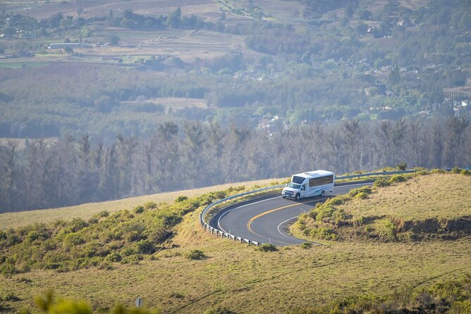 Day Trip Oahu to Maui Haleakala, Iao Valley & Central Maui - Discovering Iao Valley