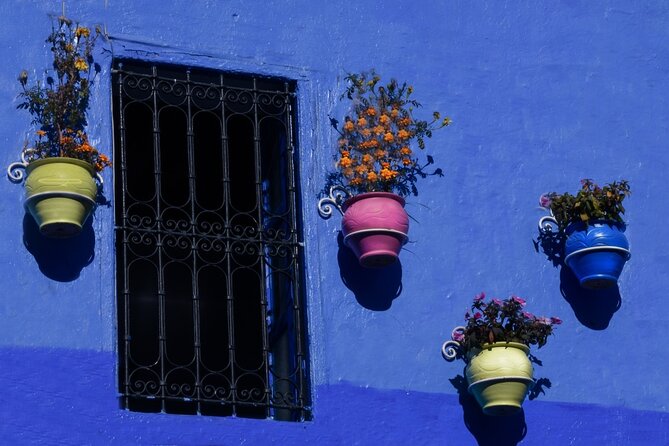 Day Trip to Chefchaouen From Fez With Local Expert - Local Culture and Attractions