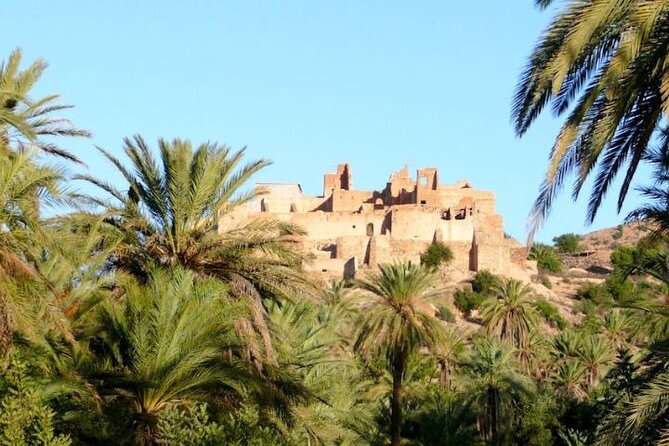 Day Trip to Taroudant and Tiout Oasis With Lunch From Agadir - Customer Reviews