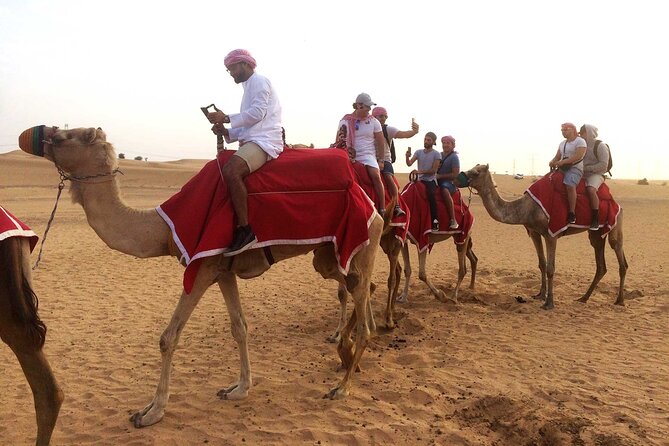 Desert Camel Ride With Live Shows & BBQ Buffet Dinner - Pickup and Transportation Details