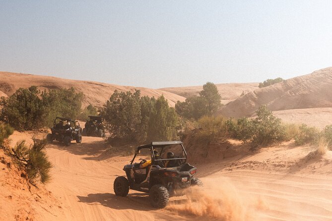 Desert Safari With Camel Ride, BBQ Dinner, Sand Board & Live Show - Highlights of the Experience