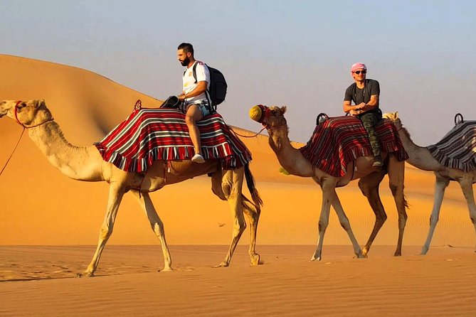 Desert Safari With Live Shows and BBQ Dinner - What to Expect on the Safari