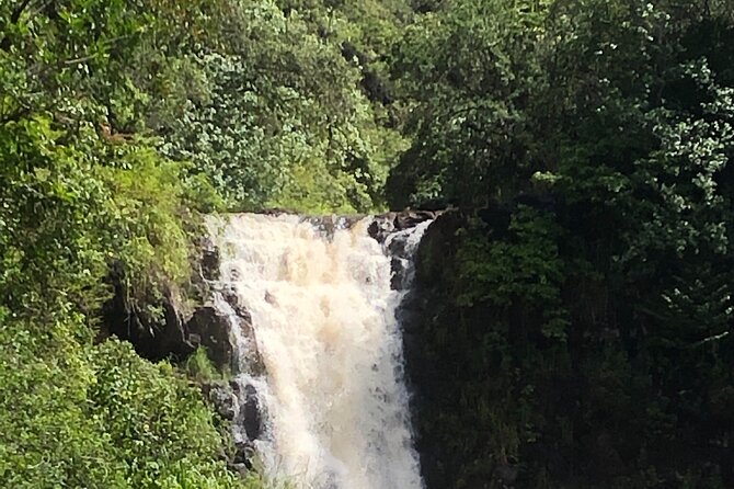 Diamond Head Crater Trail , Sightseeing & South Side Beach Day - Highlights of the Hike