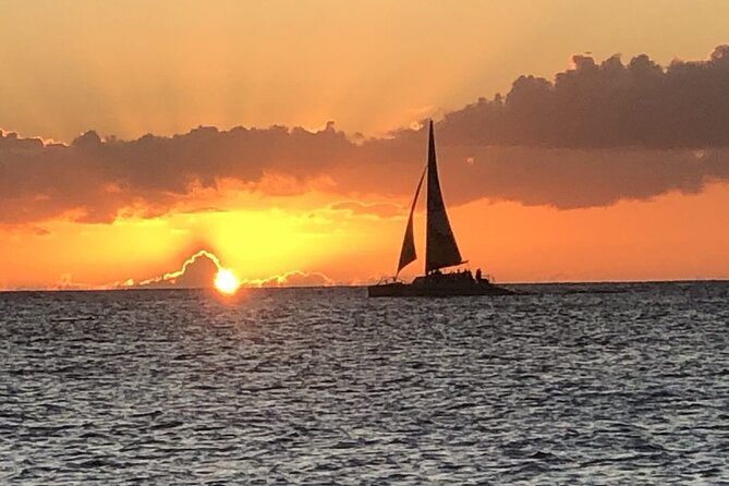 Diamond Head Sunset Sail - Spotting Local Marine Life