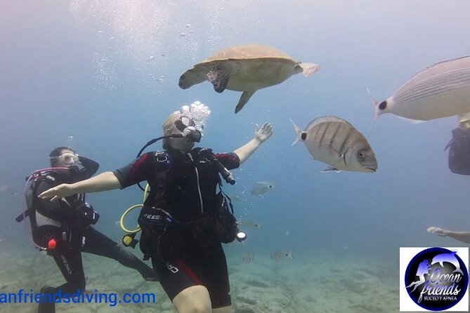 Discover Scuba Diving, Free Pictures Included - Health Considerations and Accessibility