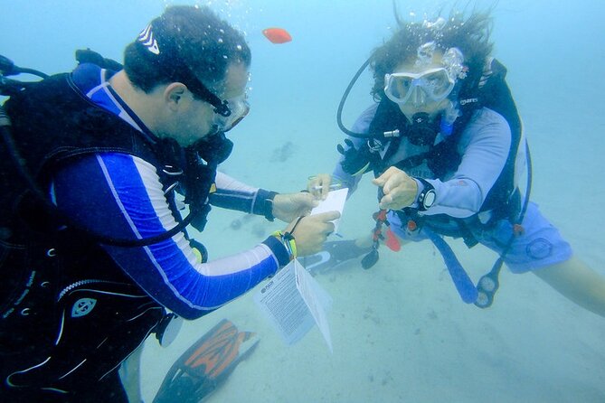 Discover Scuba Diving From a Fishing Village - Frequently Asked Questions