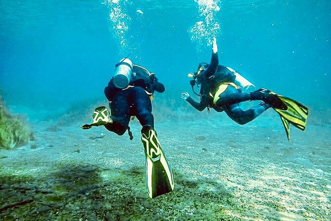 Discover Scuba Diving On The Beautiful Rainbow River - Diving Centers Exceptional Service