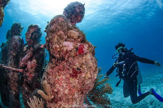 Discover Scuba ,Musa and Manchones Reef Dive Without License - Preparing for the Dive Adventure