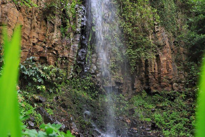 Discovering Northwest Madiera Shore Excursion W/ Harbour Pickup - Booking Information