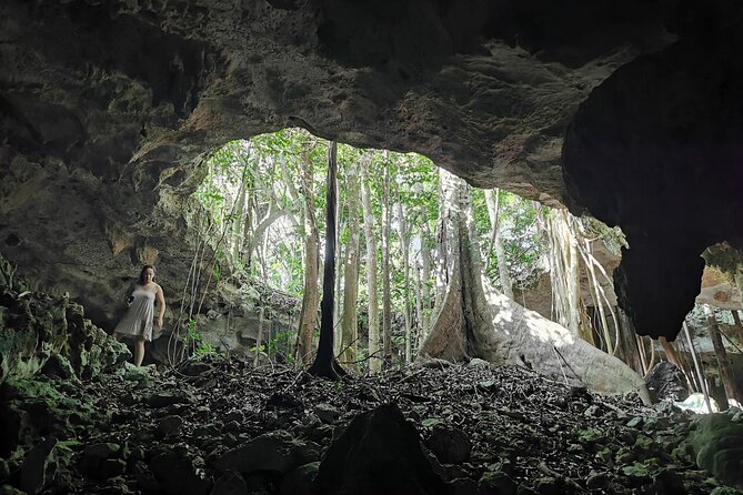 Discovery Tsonoti in Day of Non Touristic Cenotes - Memorable Experiences