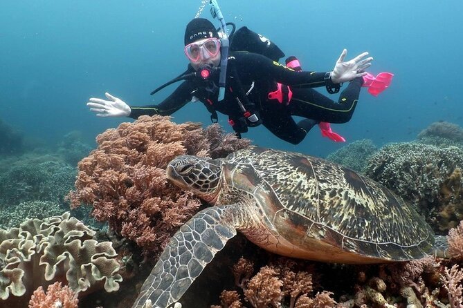 Diving And Snorkeling To Ras Mohamed And White Island By VIP Boat - Convenient Hotel Pickup and Drop-off