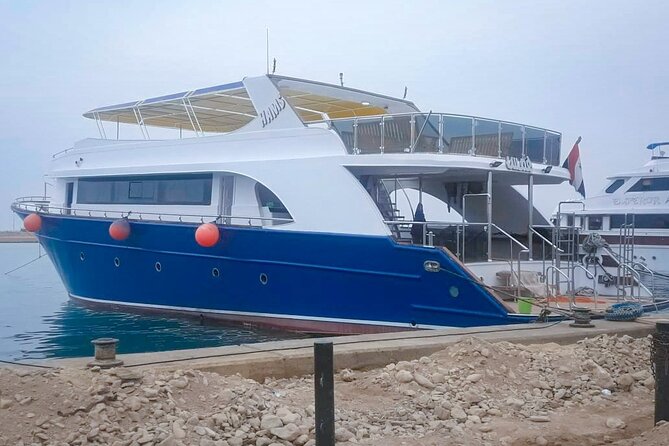 Diving Full Day 2 Stops Boat Trip For Beginners With Lunch and Transfer–Hurghada - Scenic Dive Spots and Highlights