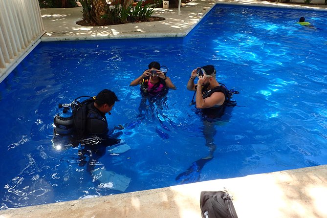 Diving in the Mexican Caribbean for Beginners | 2 Tanks 2 Dives | All Inclusive - Capturing Memorable Moments