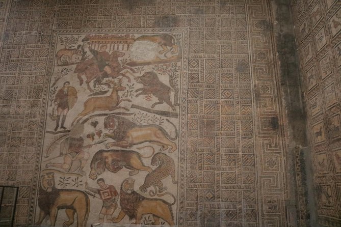 Djemila Roman Ruins Authentic Tour by Algeriatours16 - Customer Reviews and Experiences