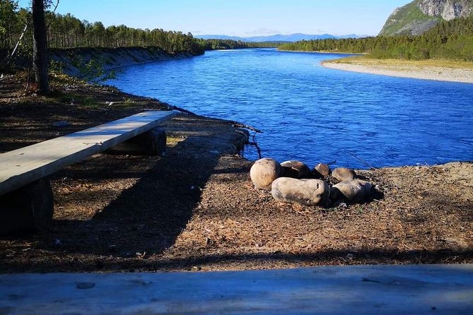 Dog Driving With Dog Carriage in the Alta Valley Along the Famous Salmon River - Ask Away