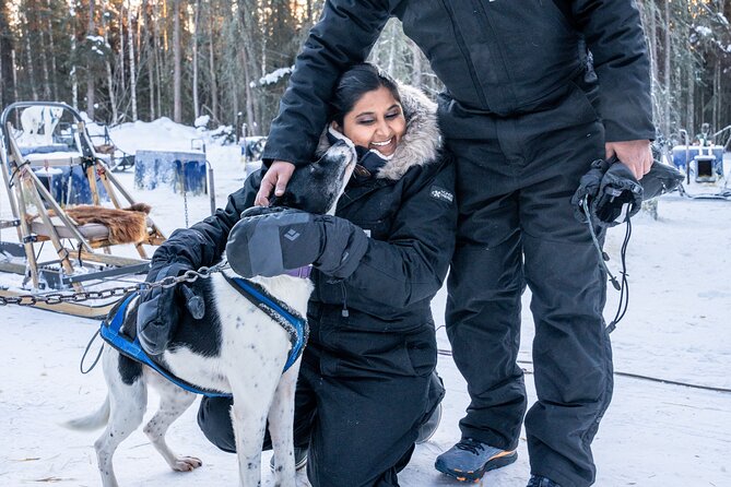 Dogsled and Reindeer Day Trip to Borealis Basecamp - Highlights of the Dogsled and Reindeer Adventure