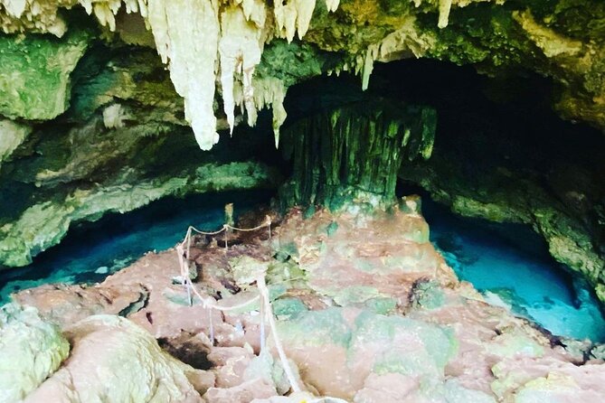 Dolphin Tour; Kuza Cave Tour; Paje Beach; The Rock Restaurant; Jozani Forest - Dining at The Rock Restaurant