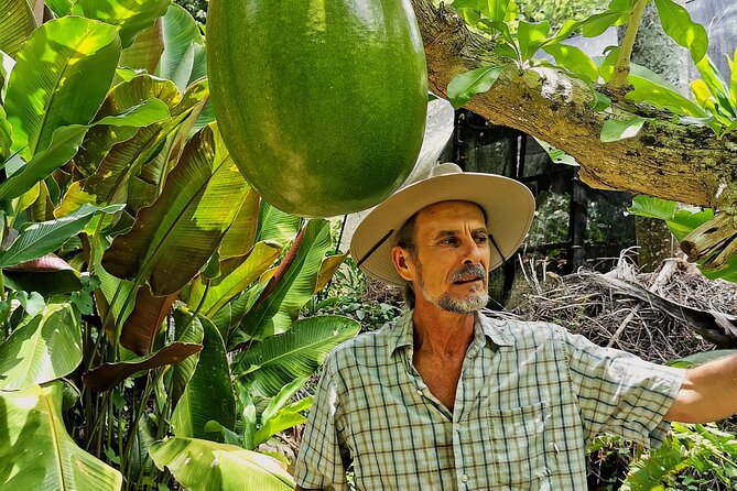 Dominican FLAVOR & COUNTRYSIDE SAFARI Pick-up Included - Health Considerations