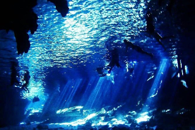 Dos Ojos Cenote Cavern Dive- The Barbie Line and The Bat Cave - Highlights of the Dive