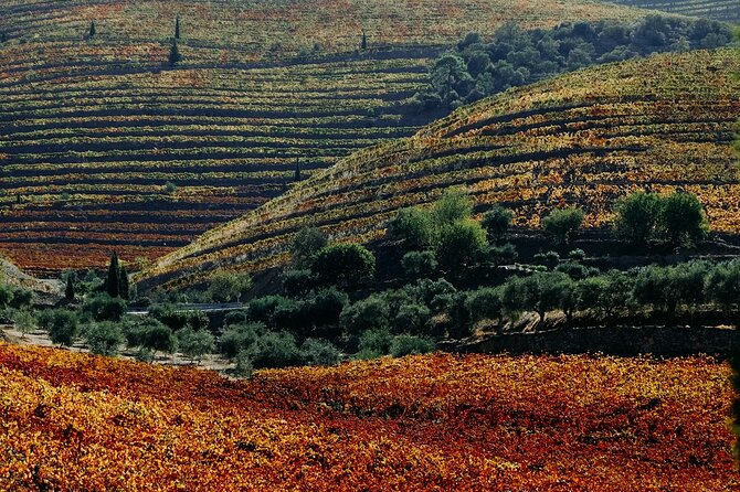 Douro Classic Sightseeing Full-Day Private Tour - Booking Flexibility