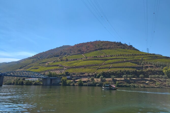 Douro Valley Full Experience With Limited Small Group - Travel Time and Logistics