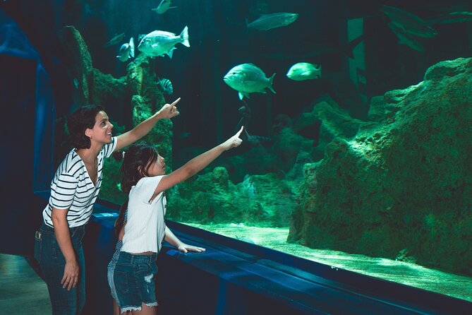 Dubai Aquarium and Underwater Zoo Ticket - Knowledgeable and Helpful Staff