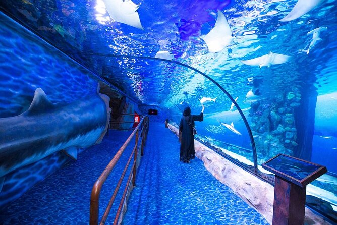 Dubai Aquarium and Underwater Zoo With Penguin Cove Tickets. - Visitor Experiences