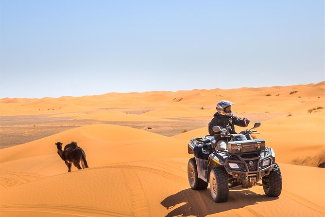 Dubai Desert 4x4 Safari, ATV Quad Bike 30 Mins, BBQ, Shows - Safety Considerations