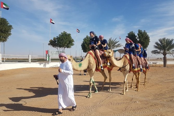 Dubai Desert Safari With Camel Riding, Sand Boarding,Bbq Dinner and 3 Live Shows - BBQ Dinner Highlights