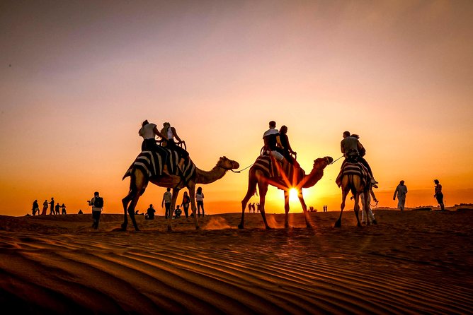 Dubai Sunset Camel Trekking With Shows & BBQ Dinner - Health and Safety Considerations